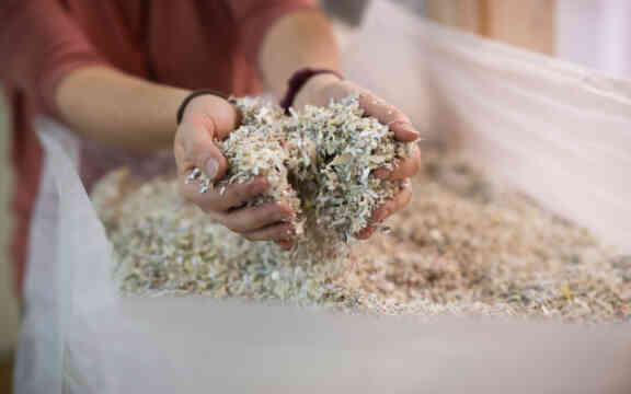 Weidli Aktenvernichtung 19